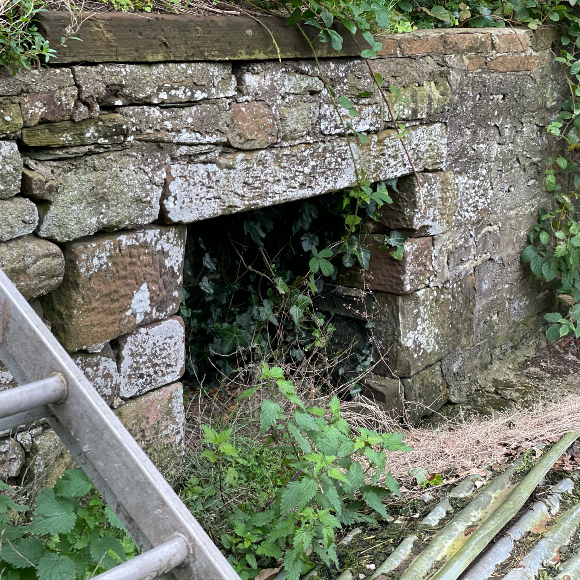 Old Lonning Cottage Outside Around the Back Image by Bee Lilyjones Cumbria