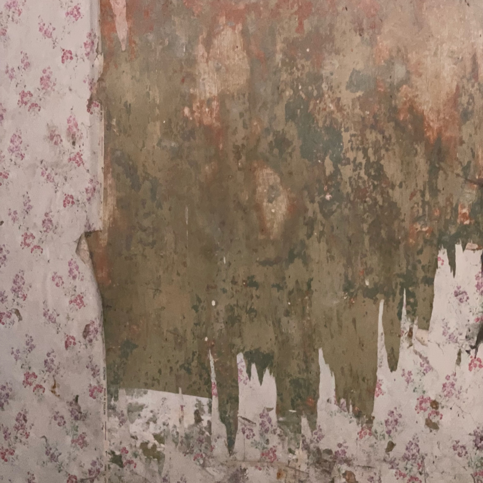 Old Lonning Farmhouse Peeling Wallpaper Image by Bee Lilyjones Cumbria