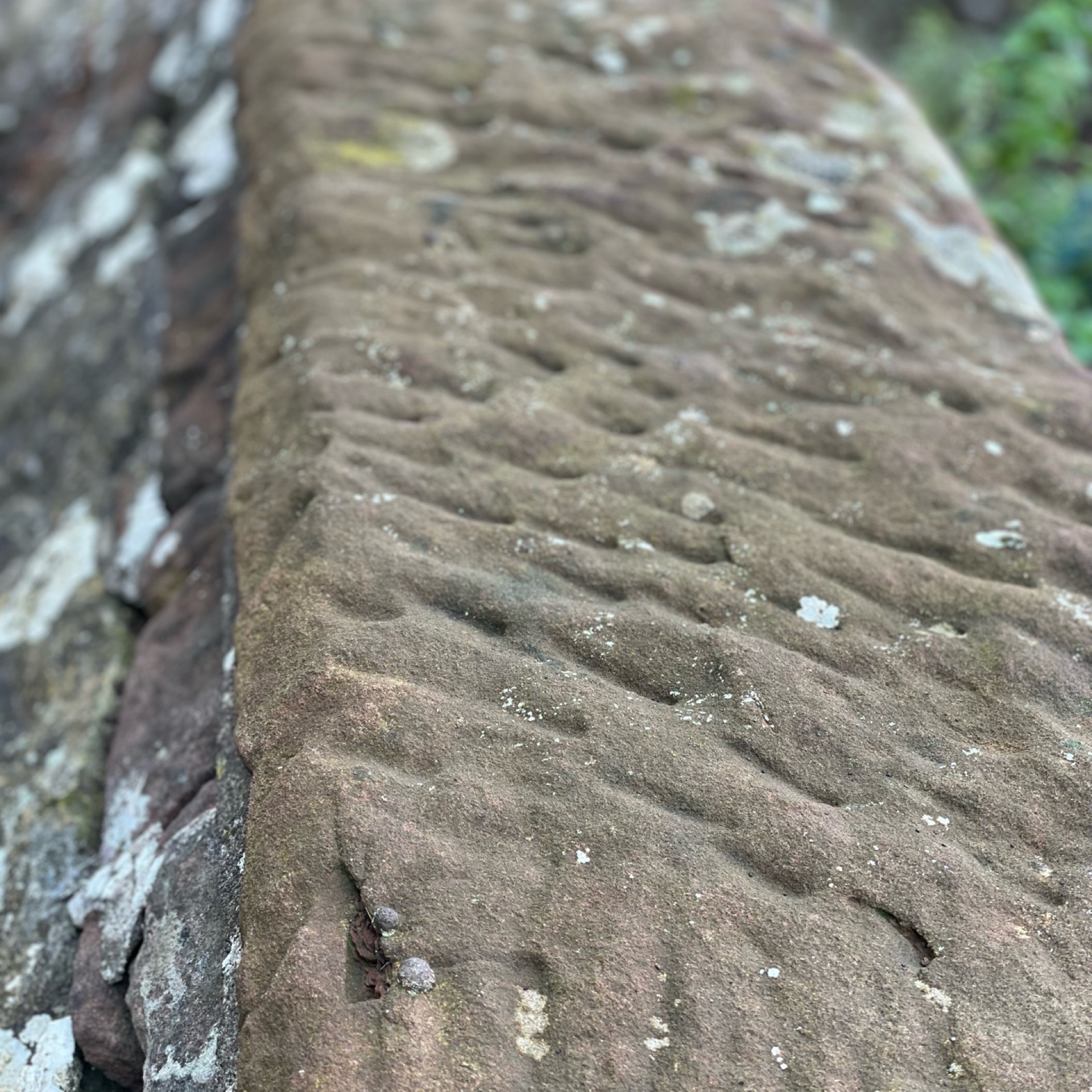 Close-up of a textured, weathered sandstone surface with subtle, wavy patterns. Specks of lichen are scattered across the red-brown surface.