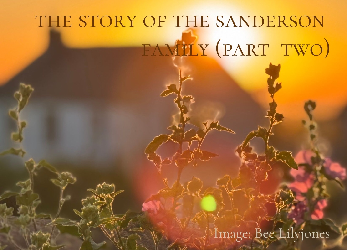 Sunset photograph of a cottage garden with flowering plants silhouetted against golden light and a farmhouse in the background. Title text overlaid: The Story of the Sanderson Family (Part Two).
